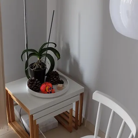 Appartement L'olympe *